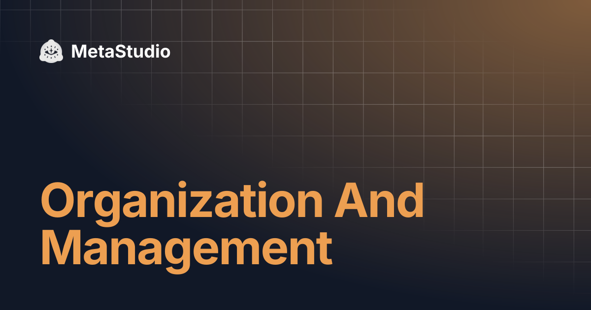 Organization And Management | MetaStudio